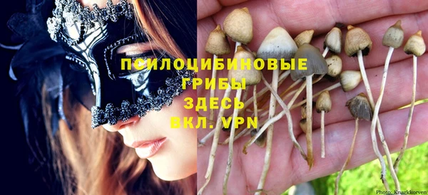 apvp Баксан