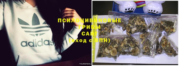apvp Баксан