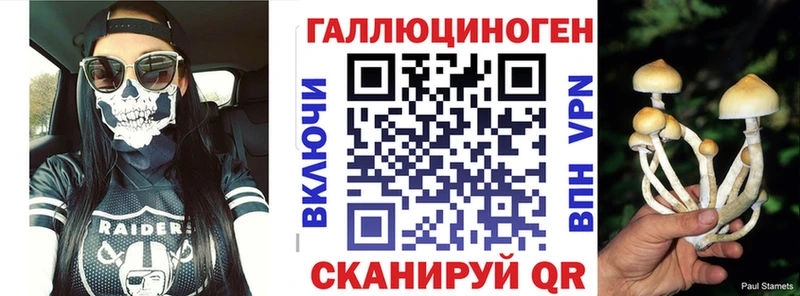 как найти наркотики  Семилуки  Псилоцибиновые грибы Cubensis 