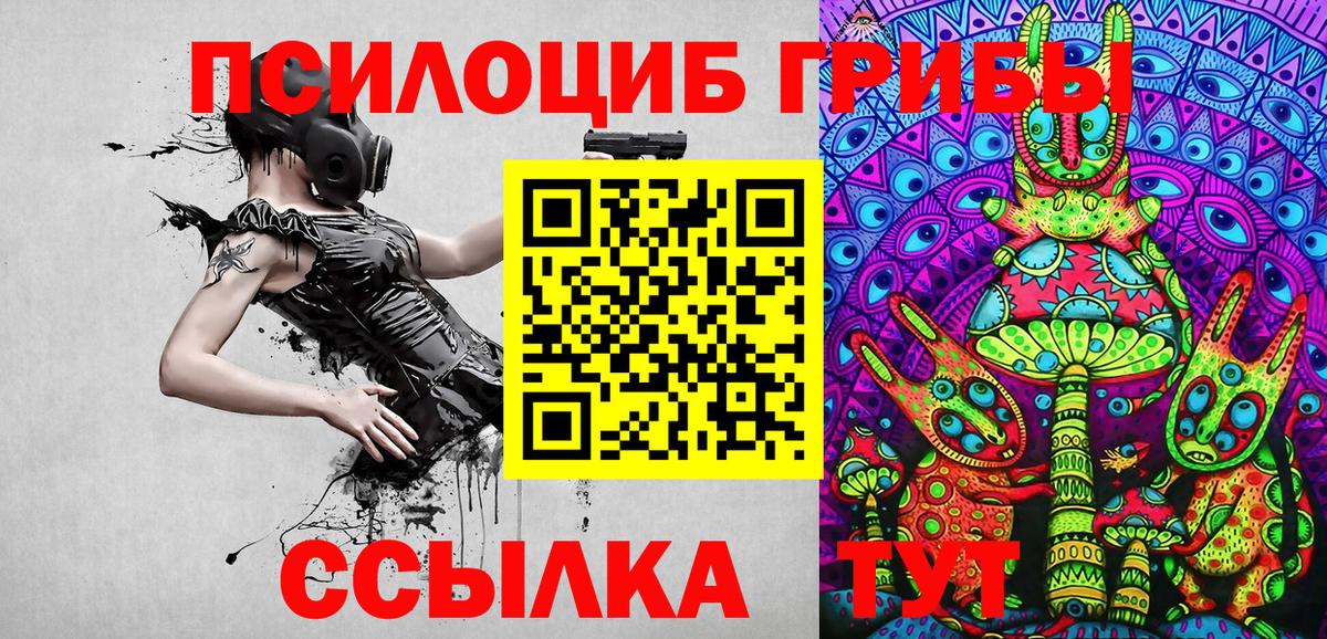 купить закладку  Псилоцибиновые грибы Cubensis  Семилуки  Вход с VPN  Псилоцибиновые грибы мухоморы 